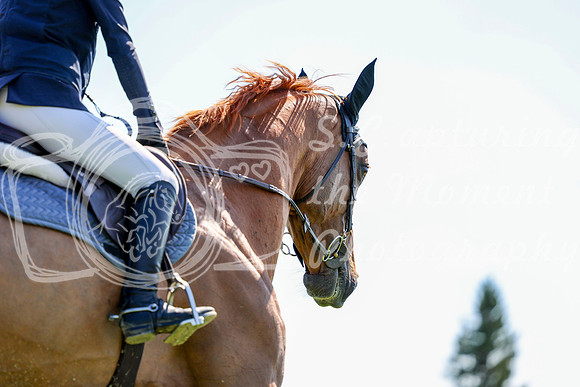 10713 - Shea - 2026 Rocky Mountain Classic II - Saturday August 15th