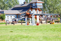 10453 - Shea - 2026 Rocky Mountain Classic II - Saturday August 15th