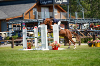16467 - Grace - 2026 Rocky Mountain Classic II - Saturday August 15th