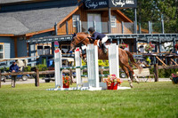 16468 - Grace - 2026 Rocky Mountain Classic II - Saturday August 15th