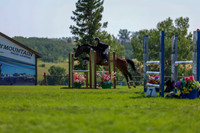 11750 - Shea - 2026 Rocky Mountain Classic II - Saturday August 15th