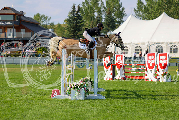 21187 - Shea - 2026 Rocky Mountain Classic II - Saturday August 15th