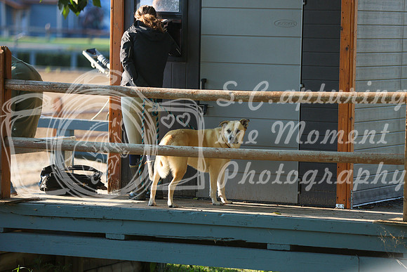 04089 - Mckenna - 2026 Rocky Mountain Classic II - Saturday August 15th