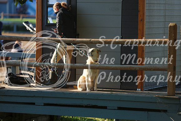 04111 - Mckenna - 2026 Rocky Mountain Classic II - Saturday August 15th