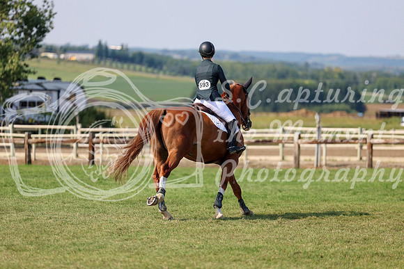 05477 - Shea - 2026 Rocky Mountain Classic II - Saturday August 15th