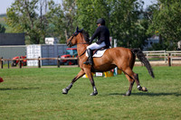 05326 - Shea - 2026 Rocky Mountain Classic II - Saturday August 15th