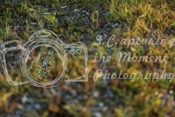 00136 - Mckenna - 2026 Rocky Mountain Classic II - Saturday August 15th