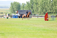 05597 - Shea - 2026 Rocky Mountain Classic II - Saturday August 15th