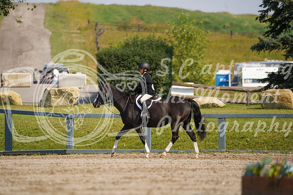 12993 - Grace - 2026 Rocky Mountain Classic II - Saturday August 15th