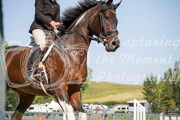 12976 - Grace - 2026 Rocky Mountain Classic II - Saturday August 15th