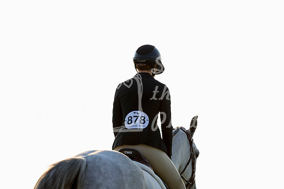 01477 - Shea - 2026 Rocky Mountain Classic II - Saturday August 15th
