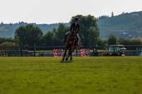 02333 - Shea - 2026 Rocky Mountain Classic II - Saturday August 15th