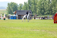 07868 - Shea - 2026 Rocky Mountain Classic II - Saturday August 15th