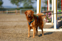 01118 - Mckenna - 2026 Rocky Mountain Classic II - Saturday August 15th
