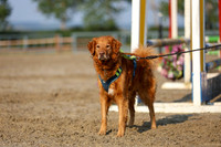 01120 - Mckenna - 2026 Rocky Mountain Classic II - Saturday August 15th