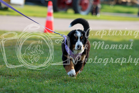 01997 - Shea - 2026 Rocky Mountain Classic II - Saturday August 15th