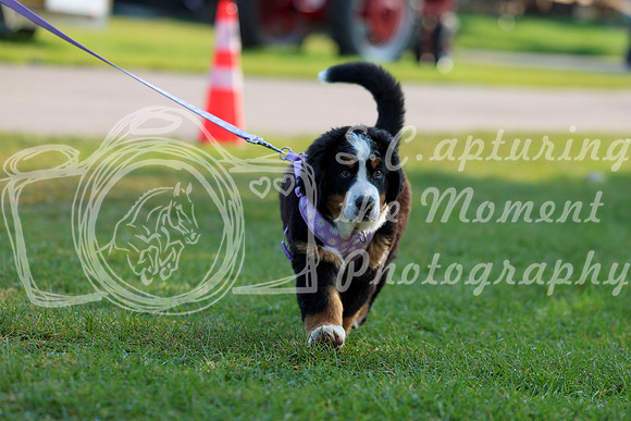 01998 - Shea - 2026 Rocky Mountain Classic II - Saturday August 15th