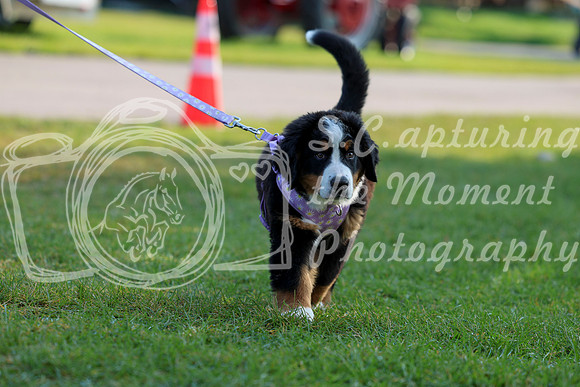 01999 - Shea - 2026 Rocky Mountain Classic II - Saturday August 15th