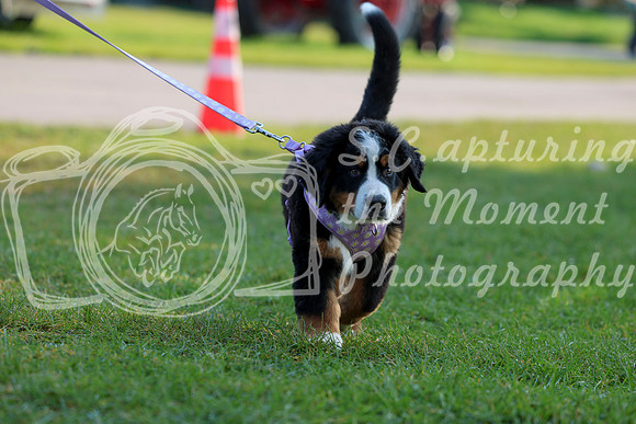 02000 - Shea - 2026 Rocky Mountain Classic II - Saturday August 15th