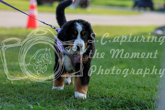 02001 - Shea - 2026 Rocky Mountain Classic II - Saturday August 15th