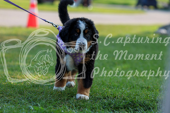 02002 - Shea - 2026 Rocky Mountain Classic II - Saturday August 15th