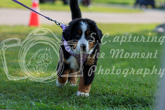 02005 - Shea - 2026 Rocky Mountain Classic II - Saturday August 15th