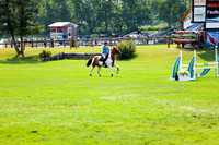 16488 - Shea - 2026 Rocky Mountain Classic II - Saturday August 15th