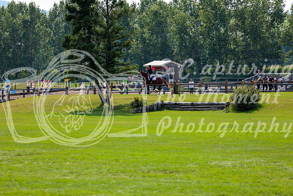 16264 - Shea - 2026 Rocky Mountain Classic II - Saturday August 15th