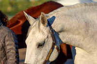 00008 - Shea - 2026 Rocky Mountain Classic II - Wednesday August 19th