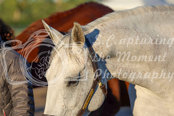 00008 - Shea - 2026 Rocky Mountain Classic II - Wednesday August 19th
