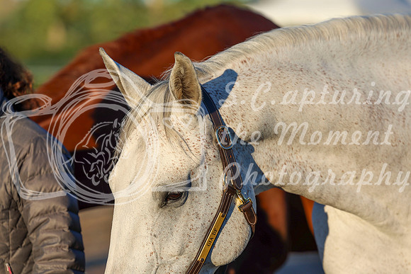 00009 - Shea - 2026 Rocky Mountain Classic II - Wednesday August 19th