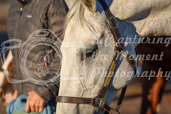 00010 - Shea - 2026 Rocky Mountain Classic II - Wednesday August 19th
