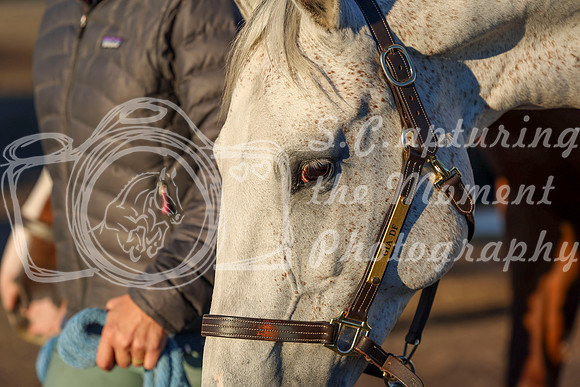 00011 - Shea - 2026 Rocky Mountain Classic II - Wednesday August 19th