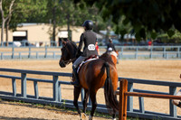 07049 - Shea - 2026 Rocky Mountain Classic II - Wednesday August 19th