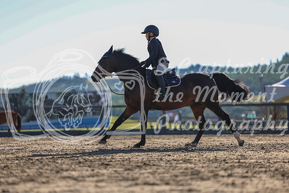 01583 - Shea - 2026 Rocky Mountain Classic II - Wednesday August 19th