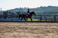 01584 - Shea - 2026 Rocky Mountain Classic II - Wednesday August 19th