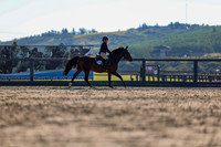 01586 - Shea - 2026 Rocky Mountain Classic II - Wednesday August 19th