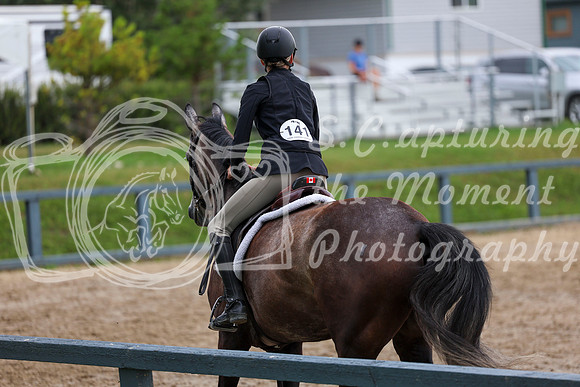 02708 - Shea - 2026 Rocky Mountain Classic II - Wednesday August 19th