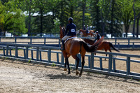 03698 - Shea - 2026 Rocky Mountain Classic II - Wednesday August 19th