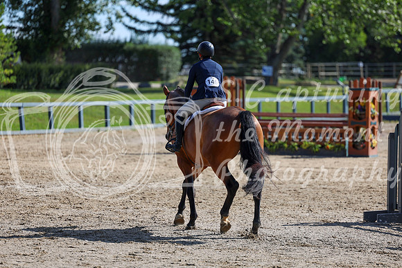 03817 - Shea - 2026 Rocky Mountain Classic II - Wednesday August 19th