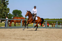 06638 - Shea - 2026 Rocky Mountain Classic II - Wednesday August 19th