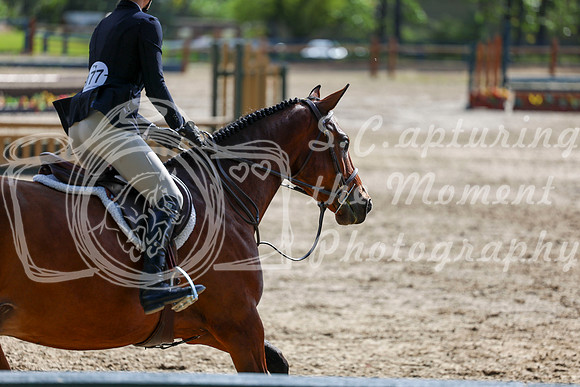 03586 - Shea - 2026 Rocky Mountain Classic II - Wednesday August 19th