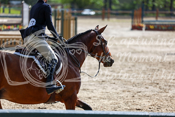 03587 - Shea - 2026 Rocky Mountain Classic II - Wednesday August 19th