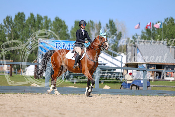 06181 - Shea - 2026 Rocky Mountain Classic II - Wednesday August 19th