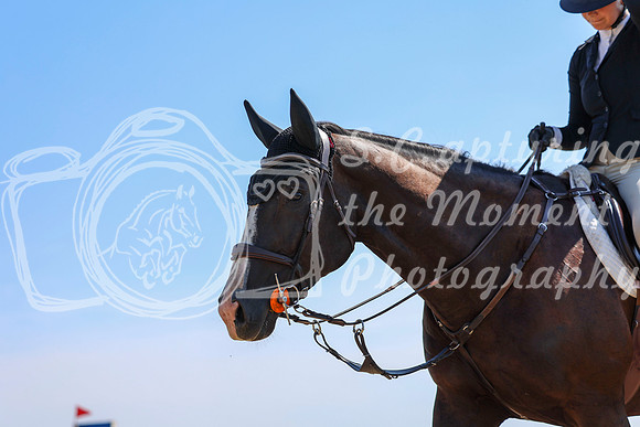 04441 - Shea - 2026 Rocky Mountain Classic II - Wednesday August 19th