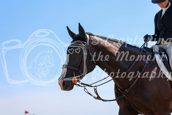 04442 - Shea - 2026 Rocky Mountain Classic II - Wednesday August 19th
