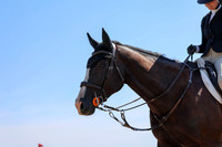 04443 - Shea - 2026 Rocky Mountain Classic II - Wednesday August 19th