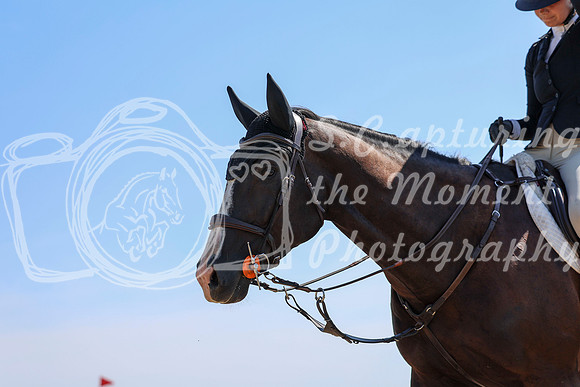 04443 - Shea - 2026 Rocky Mountain Classic II - Wednesday August 19th