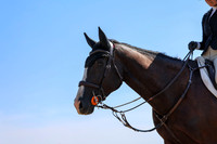 04444 - Shea - 2026 Rocky Mountain Classic II - Wednesday August 19th