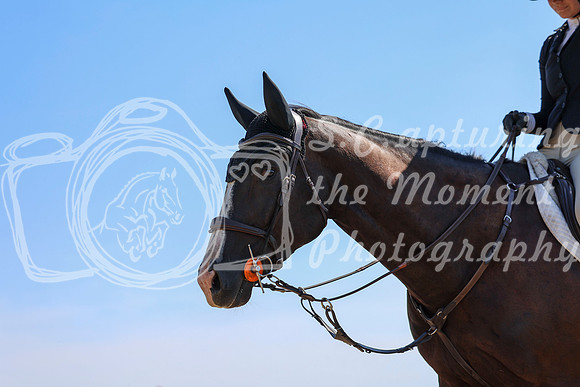 04444 - Shea - 2026 Rocky Mountain Classic II - Wednesday August 19th
